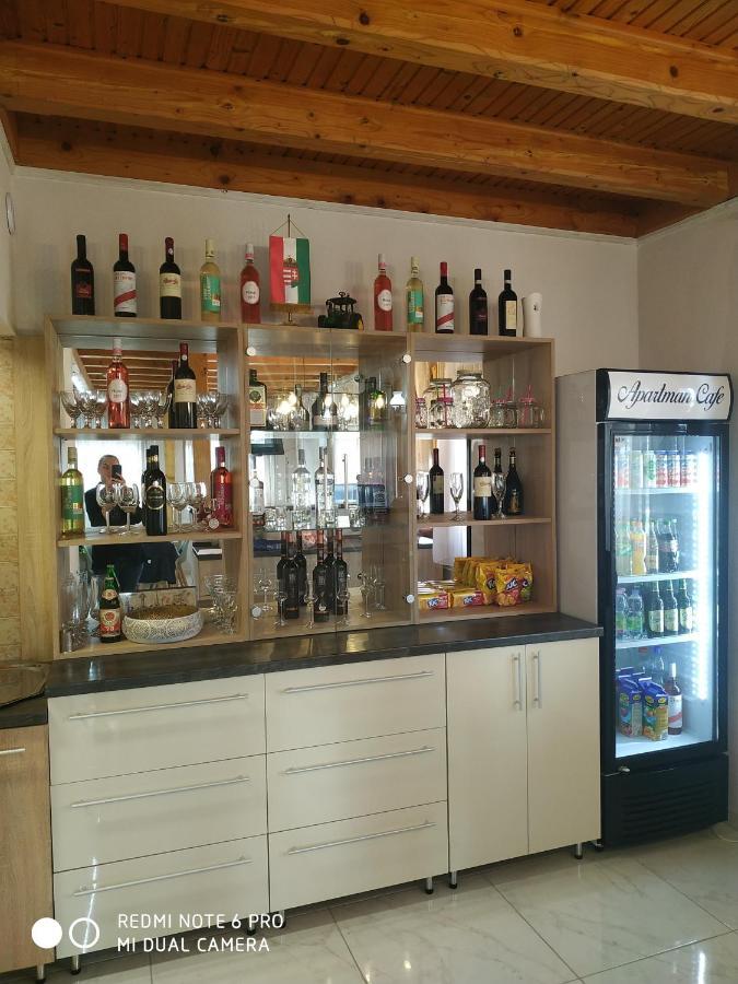 Tisza Panzió és Apartman Tiszaujvaros Exterior foto